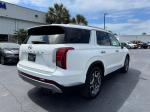 2023 Hyundai Palisade Sel Prem Pic 2854_V202605061135398
