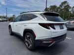 2023 Hyundai Tucson Limited Pic 2854_V202605061219596
