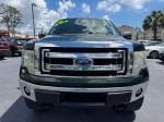 2013 Ford F-150 Xlt Supercrew 5.5-Ft. Bed 4Wd Pic 2854_V202605211146223