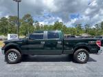 2013 Ford F-150 Xlt Supercrew 5.5-Ft. Bed 4Wd Pic 2854_V202605211146225
