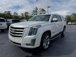 2019 Cadillac Escalade Esv Luxury 4Wd Pic 2854_V202605221704524