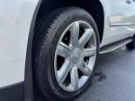 2019 Cadillac Escalade Esv Luxury 4Wd Pic 2854_V202605221704529