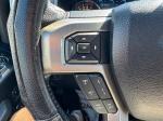 2015 Ford F-150 Platinum Supercrew 5.5-Ft. Bed 4Wd Pic 2854_V2026060416562414