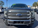 2015 Ford F-150 Platinum Supercrew 5.5-Ft. Bed 4Wd Pic 2854_V202606041656243
