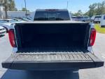 2020 Gmc Sierra 1500 At4 Crew Cab Short Box 4Wd Pic 2854_V202606051539179