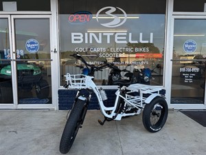 2024 BINTELLI TRIO DELUXE ELECTRIC BIKE