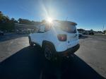 2017 Jeep Renegade Pic 2860_V2024101117302800033