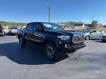 2021 Toyota Tacoma Pic 2860_V2025011503305300077