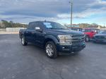 2018 Ford F-150 Pic 2860_V2025012803301400017