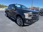 2019 Ford F-150 Pic 2860_V2025012803301400037