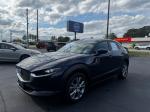 2020 Mazda Cx-30 Pic 2860_V202504290330150004