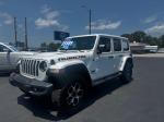 2021 Jeep Wrangler Unlimi Pic 2860_V202505200330150001