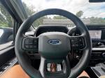 2021 Ford F-150 Pic 2860_V20250813033030000014