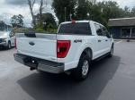 2021 Ford F-150 Pic 2860_V2025081303303000005