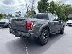 2018 Ford F-150 Pic 2860_V2025081303303000035