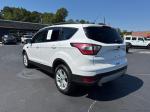 2017 Ford Escape Pic 2860_V2025083003301200023