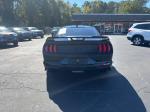 2020 Ford Mustang Pic 2860_V2025100103302000004