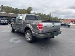 2013 Ford F-150 Pic 2860_V2025120903302000003