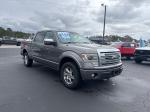 2013 Ford F-150 Pic 2860_V2025120903302000007