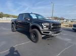 2020 Ford F-150 Pic 2860_V2026021703305300027