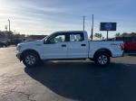 2019 Ford F-150 Pic 2860_V2026031803301400002