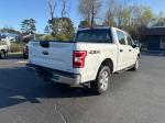 2019 Ford F-150 Pic 2860_V2026031803301400005