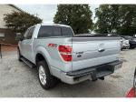 2010 Ford F-150 Pic 2867_V202507191441354