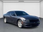 2020 Dodge Charger Pic 2876_V202501292015280011