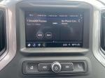 2021 Chevrolet Silverado 1500 Pic 2876_V20250402151521000225