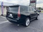 2016 Cadillac Escalade Pic 2876_V2025051415152300003