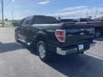 2014 Ford F150 Pic 2876_V2025052306373000005