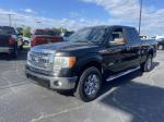 2014 Ford F150 Pic 2876_V2025052306373000007