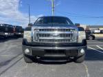 2014 Ford F150 Pic 2876_V2025052306373000008
