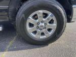 2014 Ford F150 Pic 2876_V2025052306373000009