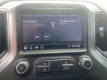 2020 Chevrolet Silverado 1500 Pic 2876_V20250525063100000027