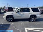 2014 Cadillac Escalade Pic 2876_V2025070106372300016