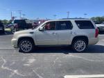 2014 Cadillac Escalade Pic 2876_V2025071815152100006
