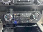 2020 Ford F150 Pic 2876_V20250802063616000029