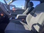 2014 Ford F150 Pic 2876_V20250824063156000017