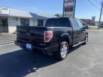 2014 Ford F150 Pic 2876_V2025082406315600002