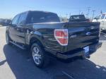 2014 Ford F150 Pic 2876_V2025082406315600004