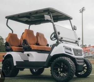 2025 Sierra LSV AX4 4 Seated Forward