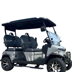 2025 Denago Rover 4