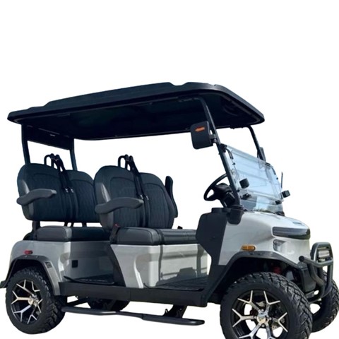2025 Denago Rover 4 XL