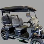 2025 Denago Rover 4 Pic 2892_V20250823030426