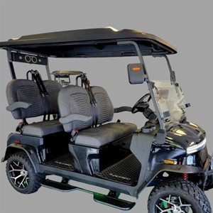 2025 Denago Rover 4