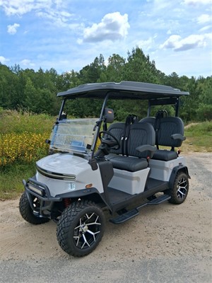 2025 Denago Rover 4 XL