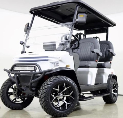 2025 Denago Rover 4 XL