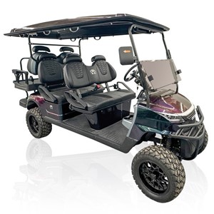 2025 Venum EV Strike 6 LSV