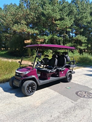 2025 Venom EV Strike 6 4+2 LSV